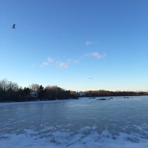 Meet your Posher, Said